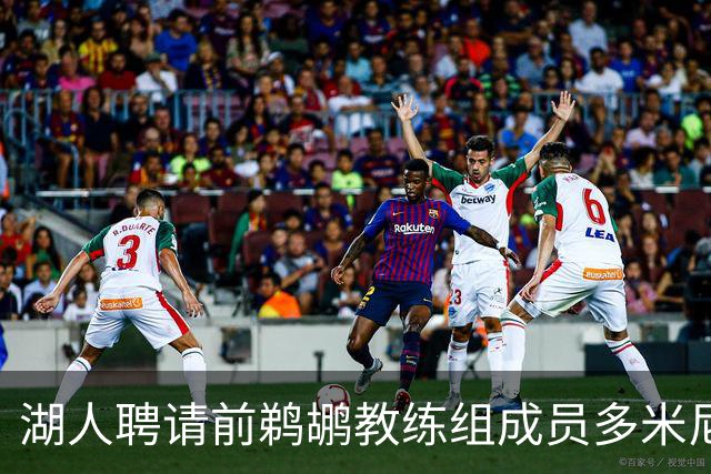 湖人聘请前鹈鹕教练组成员多米尼克·萨曼吉担任篮球运营分析师