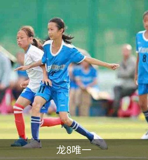 了解龙8唯一